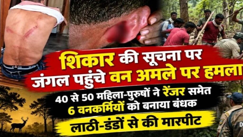 CG News : जंगली सूअर के शिकार की जांच करने पहुंची वन विभाग की टीम पर हमला, 6 घंटे तक बनाया बंधक